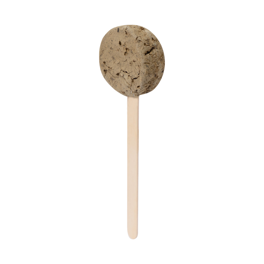 Seed Lollipop Ebeldy