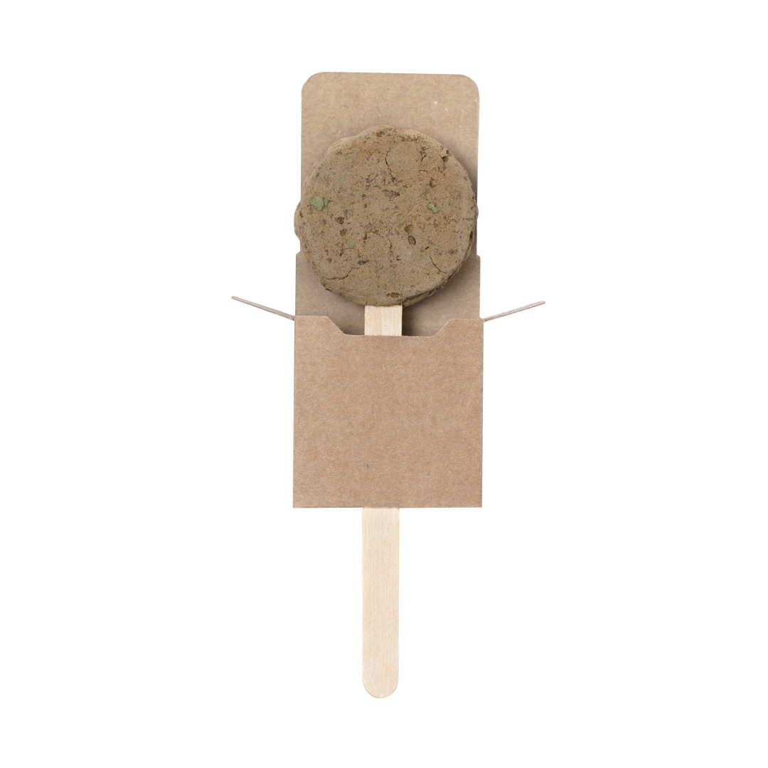 Seed Lollipop Ebeldy