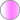FUCSHIA TRANSLUCIDE